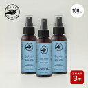 パーフェクトポーション クールミントボディスプレースーパーエクストラ100ml 3本セット PERFECT POTION 112001CB ミント 冷感 アロマ...