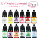 レジン 着色剤 12色 5ml レジン着色剤セット カラーレジン 着色料 着色 レジンセット レジンスターターセット