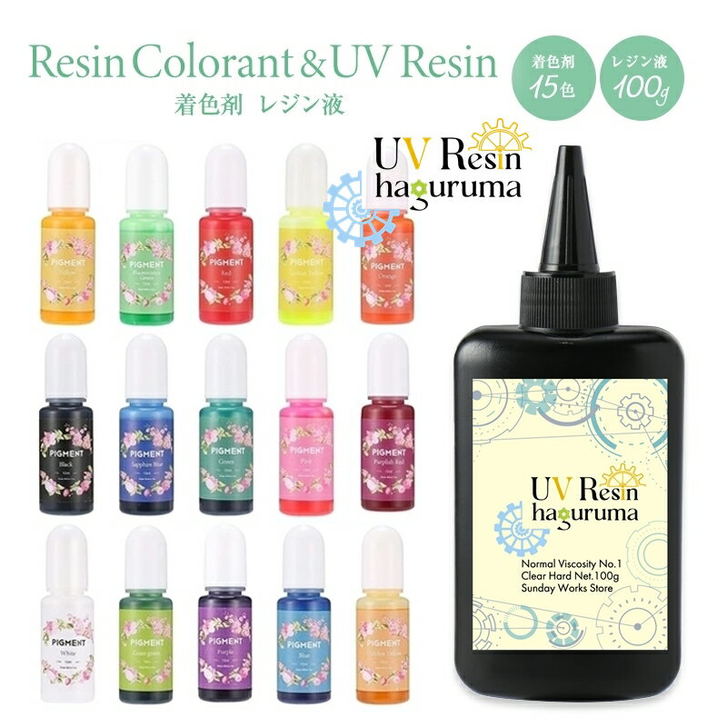 レジンセット レジン液 着色剤16点セット レジン着色剤15色 レジン液大容量100g レジンスターターセット