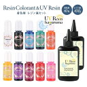 レジン液 着色剤 12点セット レジン着色剤 10色 レジン液大容量100g2本 レジンセット レジンスターターセット haguruma歯車