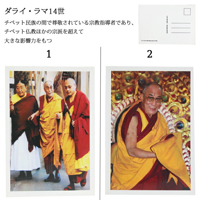 ���� �ݥ��ȥ����ɡ����饤�����14�� / ���٥å� �ͥѡ��� �ץ쥼��� �ݥ��ȥ����� �Ϥ��� ����