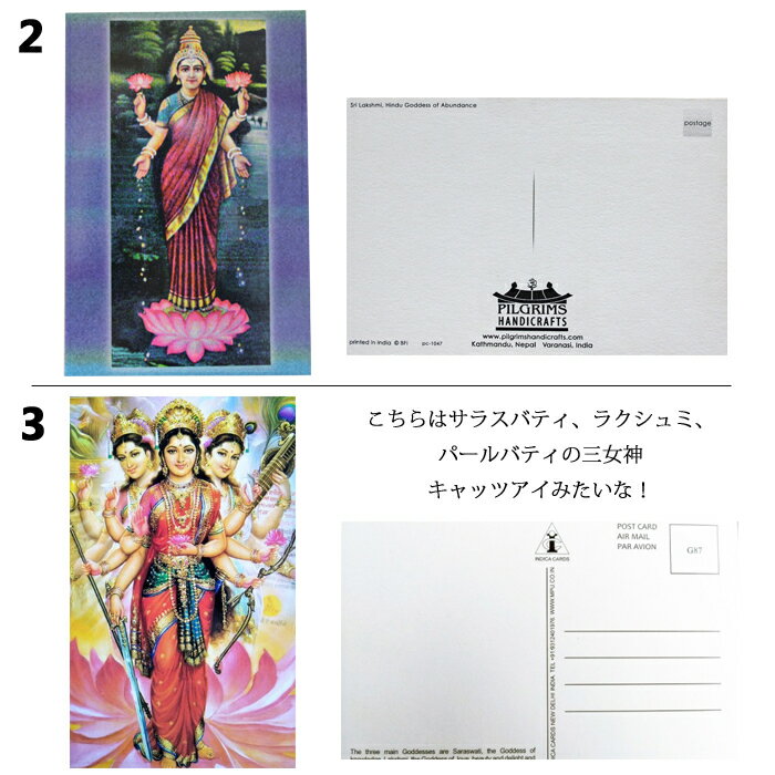 神様 ポストカード：ラクシュミー / インド ネパール プレゼント はがき ポスター 開運 女神 美 富 幸運 豊穣 ラクシュミ ポイント消化