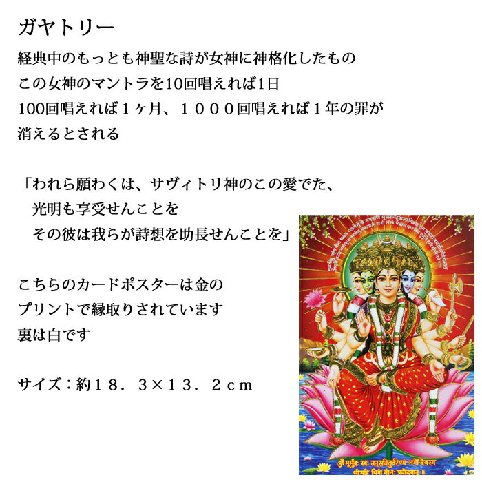 ���� �����ɡ�����ȥ꡼ / ����� �ץ쥼��� �ݥ��ȥ����� �ݥ����� ���饭�� ������� ���� ����