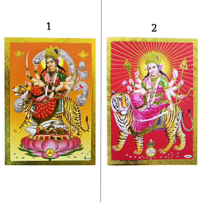 ���� �����ɡ��ɥ��륬�� / ����� �ץ쥼��� �ݥ��ȥ����� �ݥ����� ���饭�� ������� ���� ����