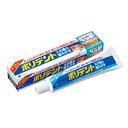 【医薬部外品】ポリデント入れ歯の歯みがき 95G 【2個セット】