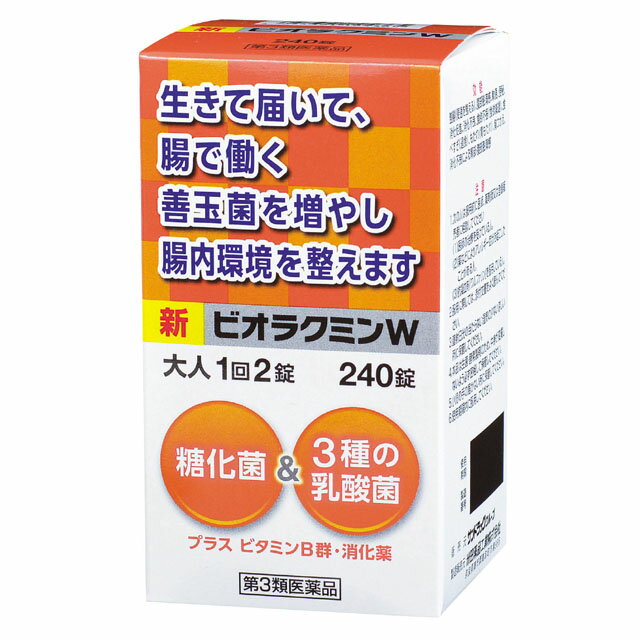 【第3類医薬品】新ビオラクミンW 240