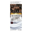 【医薬部外品】ビゲン 泡クリームカラー6N 1剤 50g + 2剤 40g + アフターカラー美容液 5ml