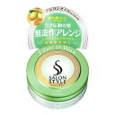 サロンスタイル ヘアワックス (ファイバーイン) 72g