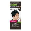 【医薬部外品】ルシード ワンプッシュケアカラー ライトブラック 1剤50g・2剤50g
