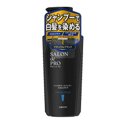 サロンドプロ メンズカラーSPスカルプケア NBK 250ml