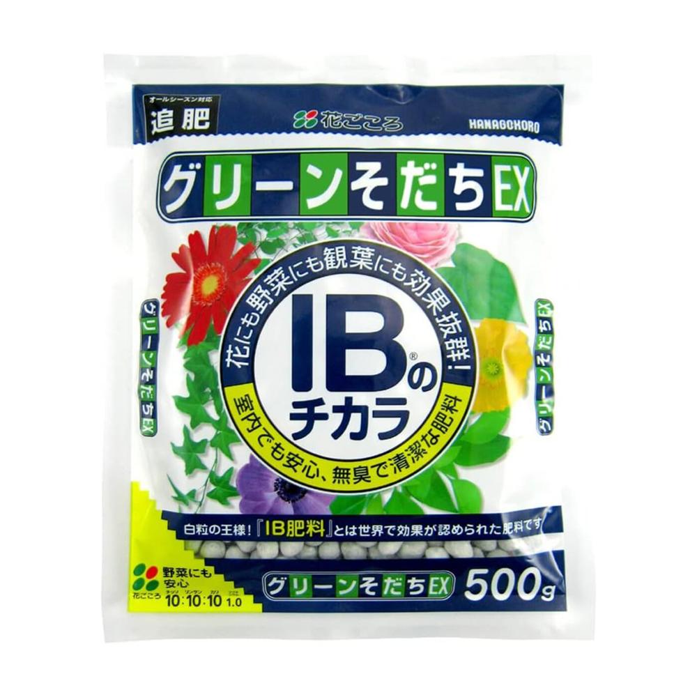 Ԃ IB̃`JO[EX 500g