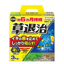 (農)住友化学園芸 草退治E粒剤 3Kg
