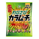 ◆湖池屋 スティックわびさびカラムーチョ肉ウマわさび 92g 【12個セット】