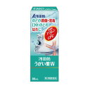 【第3類医薬品】浅田飴 うがい薬W 80mL 【2個セット】