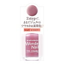 pa(ピーエーネイルコレクティブ) ワンダーネイル RWN-17