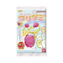 ◆バンダイ すみっコぐらしつりグミRN 14g 【10個セット】