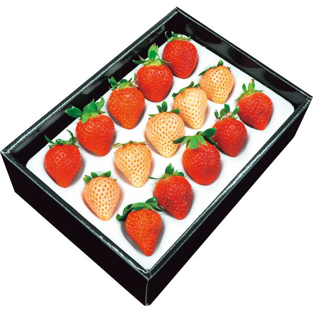 【ポイント10倍】◆【お歳暮限定】紅白いちご（計250g）◇メーカー直送 ▼返品・キャンセル不可【他商品との同時購入不可】