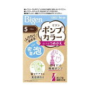 【医薬部外品】ホーユー ビゲン ポンプカラー つめかえ 5 50ml+50ml+5ml