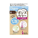 【医薬部外品】ホーユー ビゲン ポンプカラー つめかえ 6 50ml＋50ml＋5ml