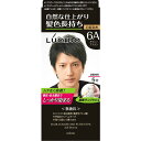 【医薬部外品】ルシード ワンプッシュケアカラー アッシュブラウン 1組