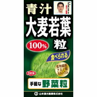 ◆山本漢方製薬 大麦若葉青汁粒100