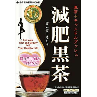 ◆山本漢方製薬株式会社 減肥黒茶 15gX20包の商品画像