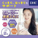◆DHC ブルーベリーエキス60日分 120粒x3個セット 3