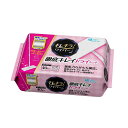 大王製紙 キレキラ!ワイパー徹底キレイ ドライシート 40枚