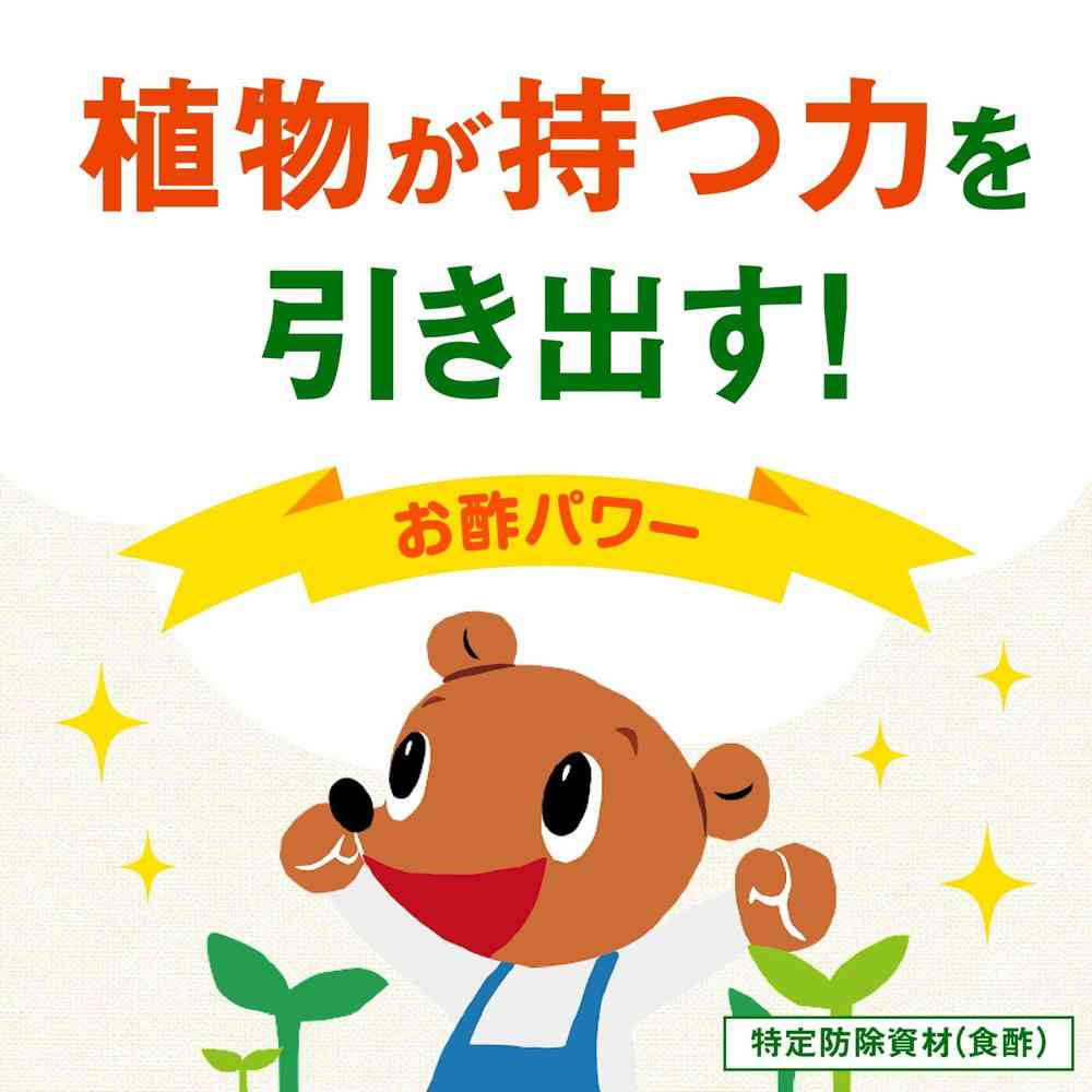 �ڥݥ����10�ܡۥ����������ǥ� �䤵���� 1000ml