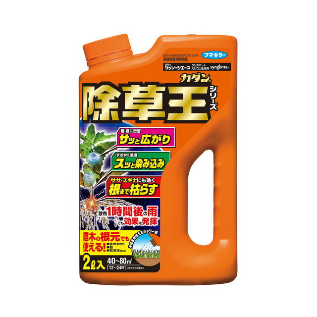 【ポイント10倍】【農薬】フマキラー カダン除草王 ザッソージエース 2L