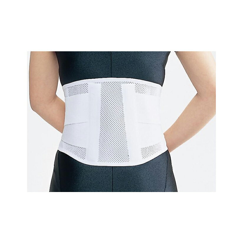 アシスト デラックス腰部固定帯広幅二重メッシュタイプ ホワイト LLサイズ 1個