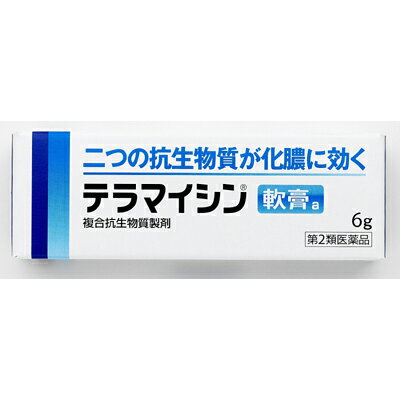 【第2類医薬品】【10個セット】 キシロA軟膏　10g×10個セット 【正規品】【t-24】