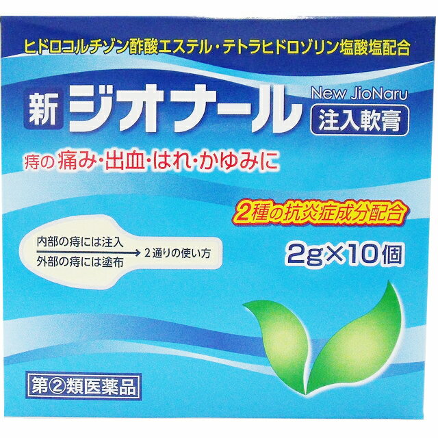 【指定第2類医薬品】新ジオナール注入軟膏 2g×10個