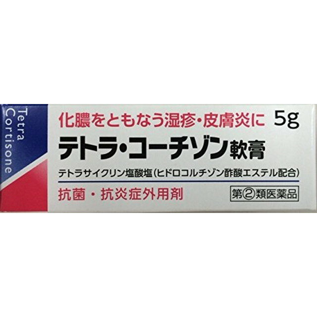 【指定第2類医薬品】テトラコーチゾン軟膏 5g