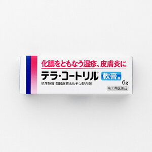 【指定第2類医薬品】テラ・コートリル軟膏a 6G