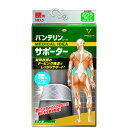 バンテリンコーワサポーター 腰用 ふつうサイズ シャイニンググレー 1枚入り