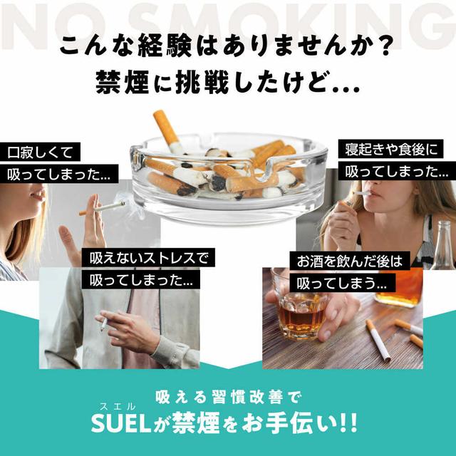SUEL　約1500回吸入　ブルーベリー