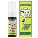 ◆森川健康堂 プロポリス スプレー ソフトタイプ 20ml