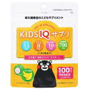 X쌒N KIDS IQTv oii 100