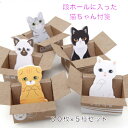 【ポイント10倍 10%OFFクーポン】 段ボールに入った猫 かわいい おしゃれ 雑貨 インテリア 文房具 オフィス用品 付箋 学生 猫 ねこ メモ