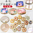 【ポイント最大13倍 10%OFFクーポン】 世界一かわいい ネコの雑貨屋さんの ちいさな アクセサリーケース ピルケース