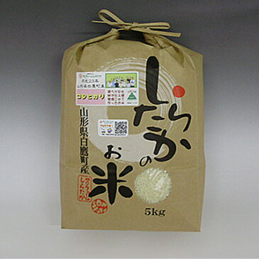 【令和元年産】【山形県白鷹産】　甘いコシヒカリ　白米30kg【農家直送】【10kgずつに小分けサービス致します。】