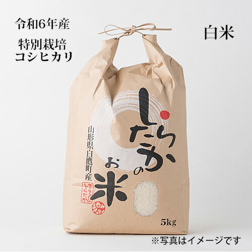 コシヒカリ　白米5Kg【特別栽培米】【農家直送】【令和6年産】【安心・安全】【受注後に精米】のサムネイル