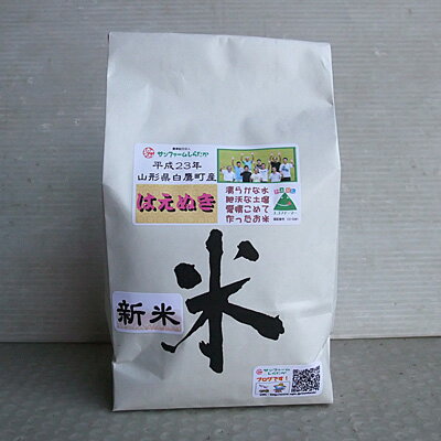 【令和5年産】【はえぬき】白米1kg　山形の定番のお米【10kg（10個）以上のご注文で送料無料】【お試し】