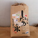 【令和元年産】農家直送！はえぬき玄米20kg（10kg×2袋）！