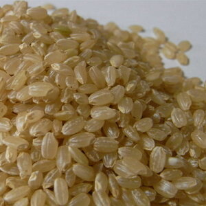 【つや姫】【農家直送】【令和3年産】山形から日本の美味しい品種　特別栽培米【つや姫】玄米10kg