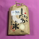 【白鷹町】【令和2年産】【粒立ちしっかり】　山形の新品種【雪若丸】　白米10kg【受注後精米】