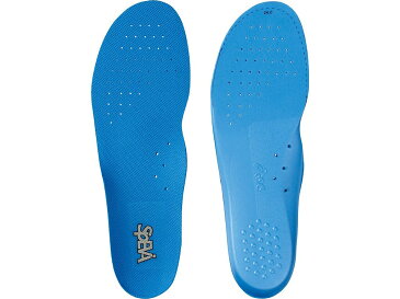 asics TIZ105 ジュニアSpEVA 3D中敷 シューズ(ジュニア) FWバスケット アシックス 2019FW【取り寄せ】
