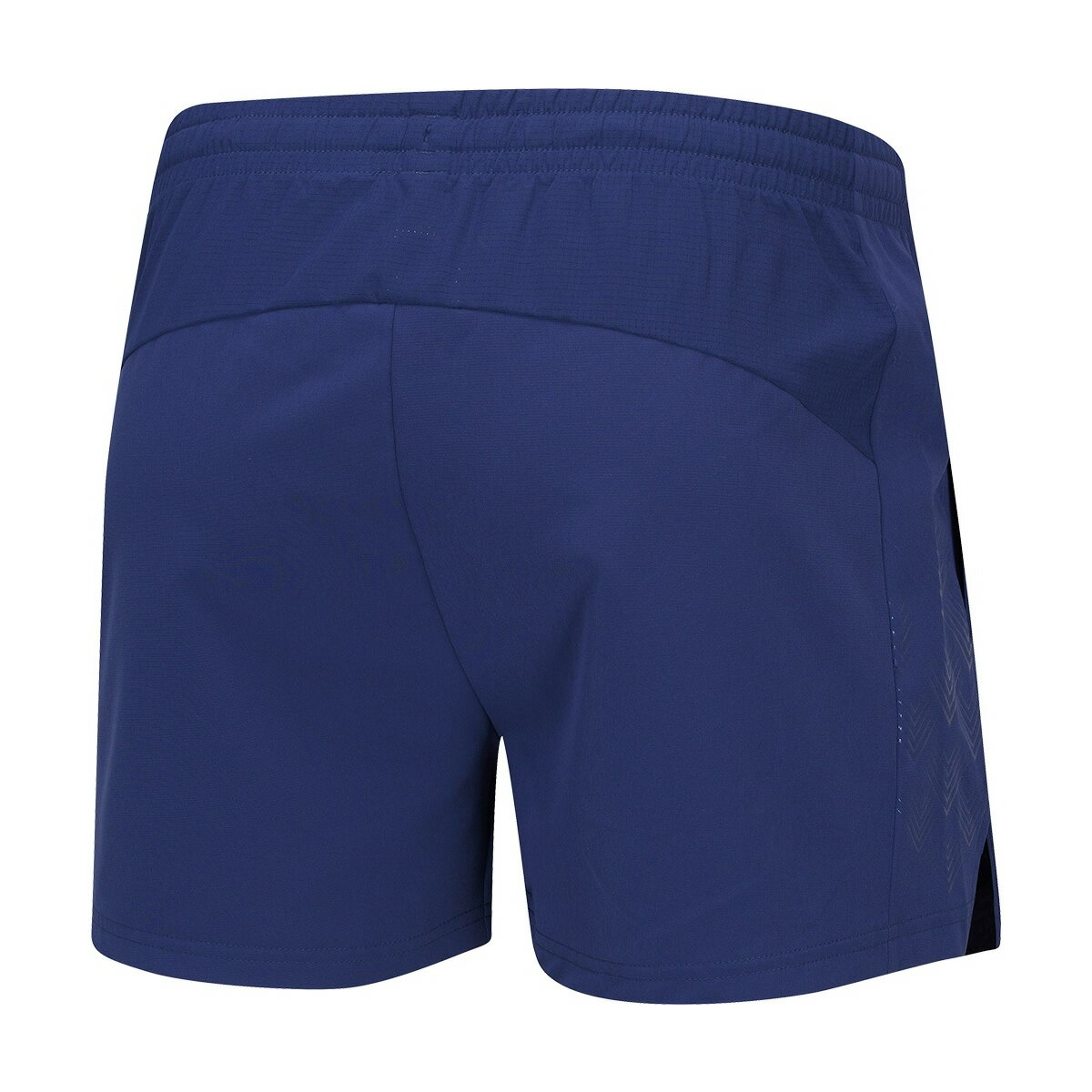 LI-NING AAPQ029 ������ѥ��(���/���) �Хɥߥ�ȥ󥦥��� �꡼�˥�ڥ᡼���زġ�