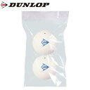 DUNLOP DSTBPRA2TIN ソフトテニスボール 練習球(2球入り) ソフトテニス 2020年春夏モデル ダンロップ 【取り寄せ】